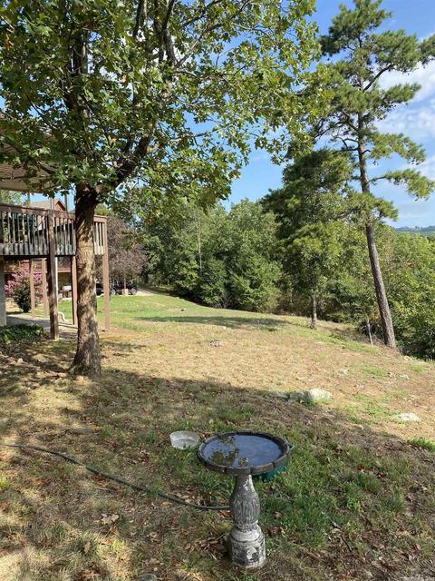 80 Devils Bluff Rd, Greers Ferry, AR 72067 photo 40