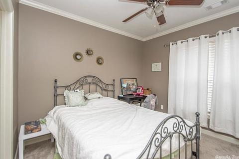 1036 Skyline Dr, Alexander, AR 72002 photo 23