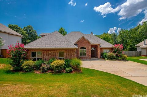 1036 Skyline Dr, Alexander, AR 72002 photo 3