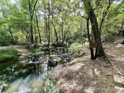 49 Pearson Rd, Quitman, AR 72131 photo 2