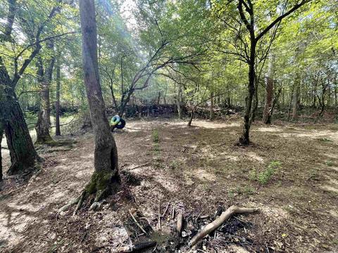 49 Pearson Rd, Quitman, AR 72131 photo 3