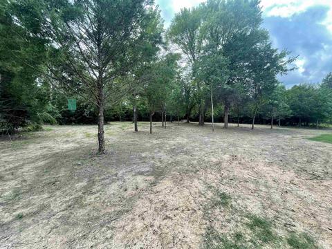 49 Pearson Rd, Quitman, AR 72131 photo 16