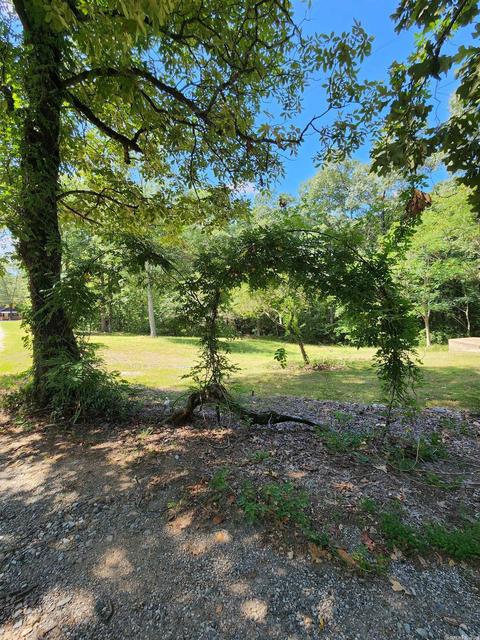 463 Fairgrounds, Mount Ida, AR 71957 photo 48