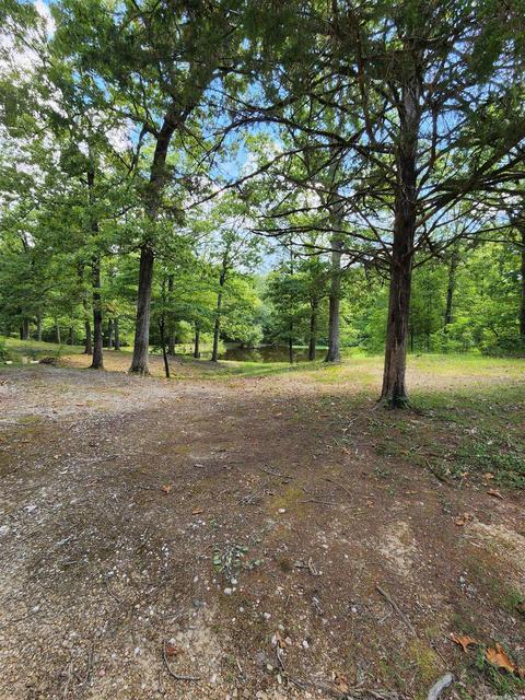 463 Fairgrounds, Mount Ida, AR 71957 photo 44