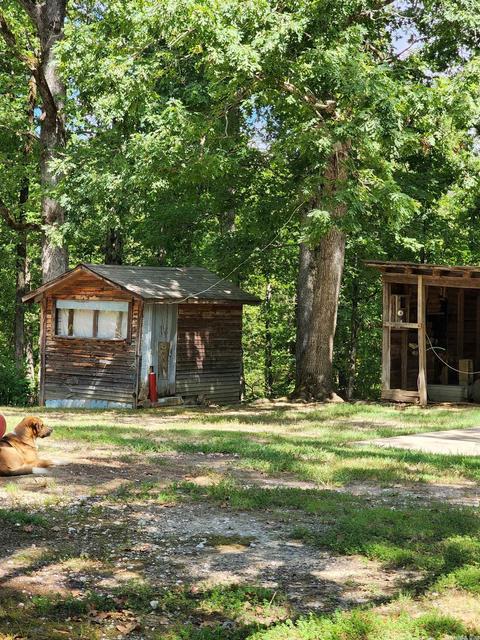 463 Fairgrounds, Mount Ida, AR 71957 photo 46
