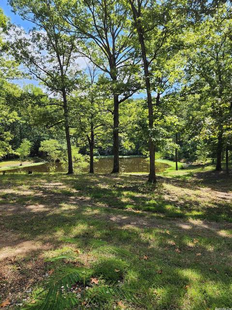 463 Fairgrounds, Mount Ida, AR 71957 photo 42