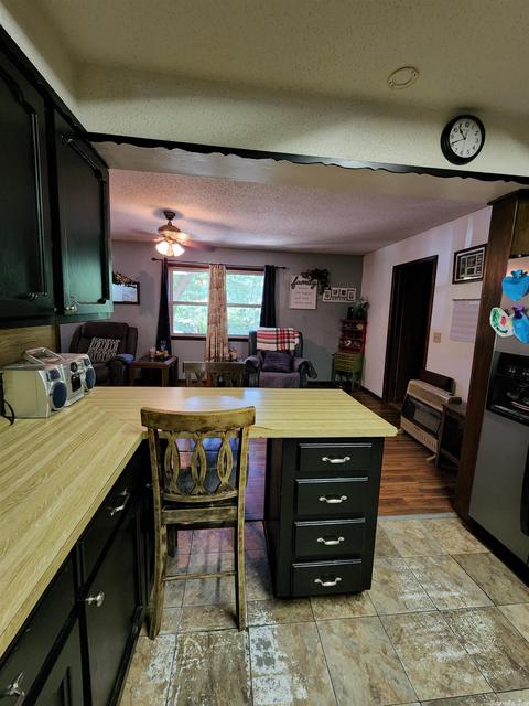 463 Fairgrounds, Mount Ida, AR 71957 photo 8