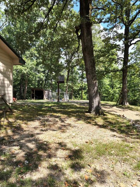 463 Fairgrounds, Mount Ida, AR 71957 photo 43