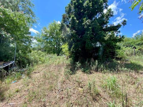163 Partee Dr, Marcella, AR 72555 photo 4