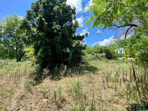 163 Partee Dr, Marcella, AR 72555 photo 3