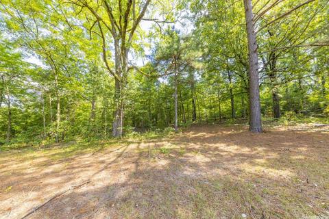 1098 Graham, Benton, AR 72015 photo 33
