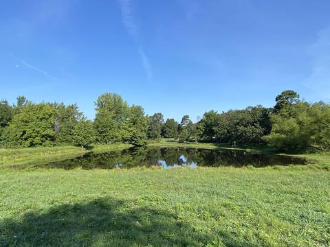 703 Red River Rd, Fox, AR 72051 photo 20