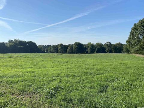 703 Red River Rd, Fox, AR 72051 photo 22