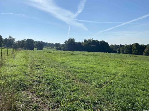 703 Red River Rd, Fox, AR 72051 photo 21