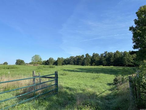 703 Red River Rd, Fox, AR 72051 photo 24