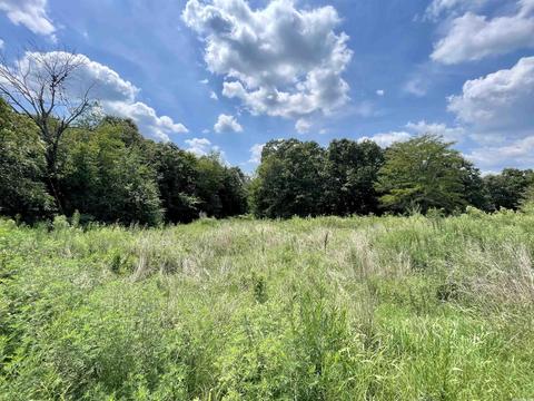 1045 Needmore Rd, Sidney, AR 72556 photo 3