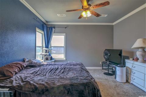 721 Mango Loop, Austin, AR 72007 photo 15
