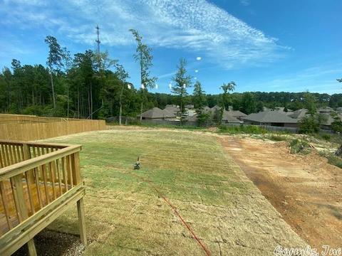 3003 Sue St, Benton, AR 72015 photo 15