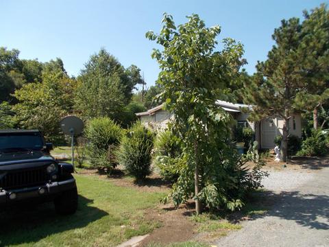 941 Js Jones Rd, Scott, AR 72142 photo 3