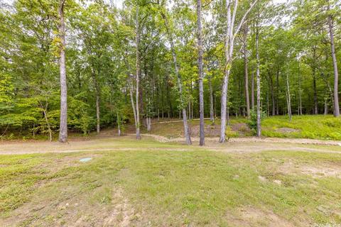 7032 Westcott Cv, Alexander, AR 72002 photo 48