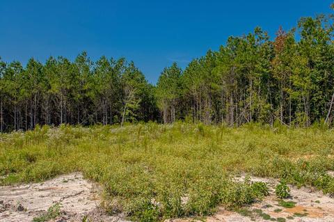 11670 Mars Hill Rd, Bauxite, AR 72011 photo 47