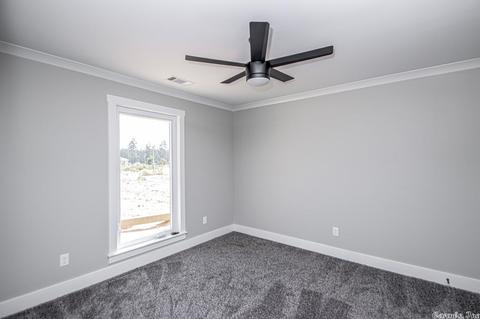11670 Mars Hill Rd, Bauxite, AR 72011 photo 35