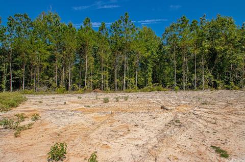 11670 Mars Hill Rd, Bauxite, AR 72011 photo 46