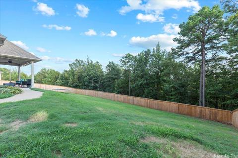 1004 Skyline Dr, Alexander, AR 72002 photo 41