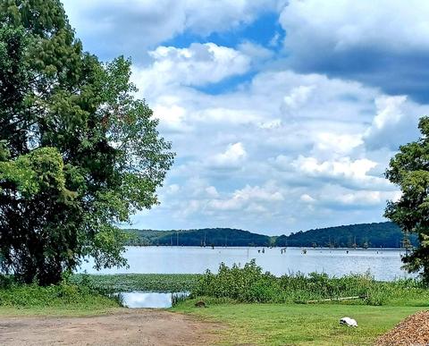 10 Robin Dr, Mayflower, AR 72106 photo 12