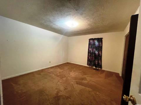 152 N Circle Dr, Ash Flat, AR 72513 photo 13