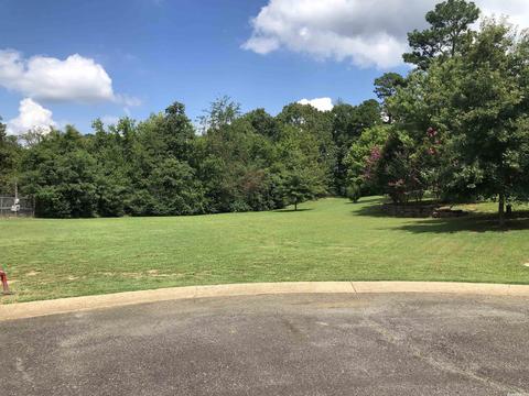 1206 Cantrell St, Mountain View, AR 72560 photo 3