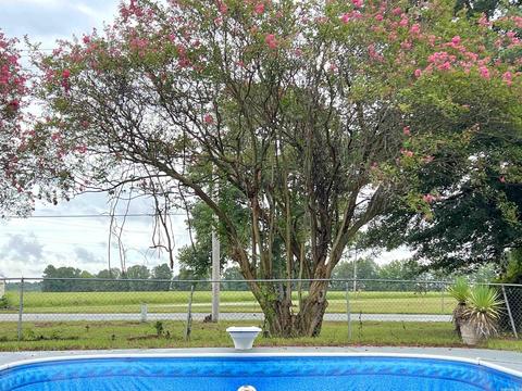 704 Grider Field Ladd Rd, Pine Bluff, AR 71601 photo 9