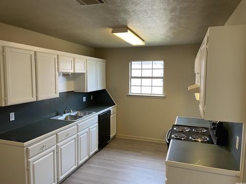 295 S Ash, Conway, AR 72034 photo 10