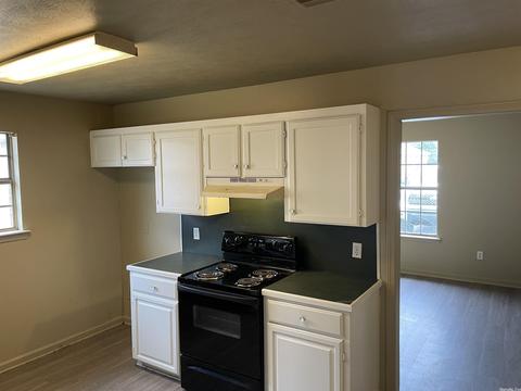 295 S Ash, Conway, AR 72034 photo 11
