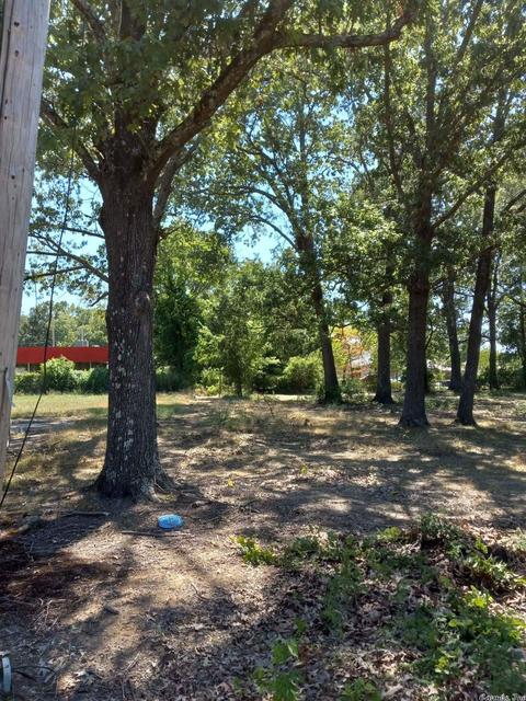 403 E Olive, Cabot, AR 72023 photo 3