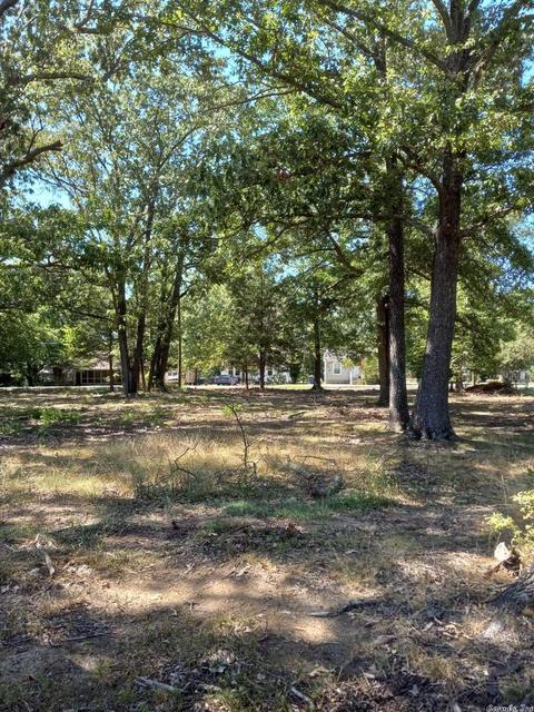 403 E Olive, Cabot, AR 72023 photo 4