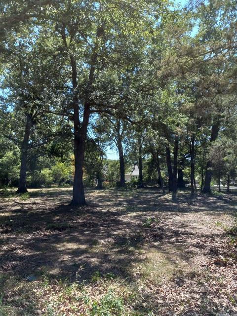 403 E Olive, Cabot, AR 72023 photo 5