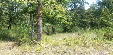 4226 Sparks, Alexander, AR 72002 photo 1