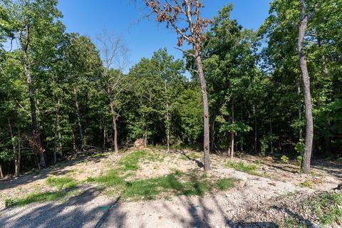 220 Timber Ridge Rd, Mammoth Spring, AR 72554 photo 27