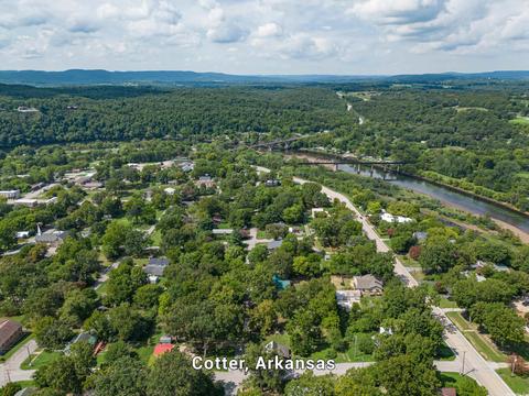 109 4th St, Cotter, AR 72626 photo 49