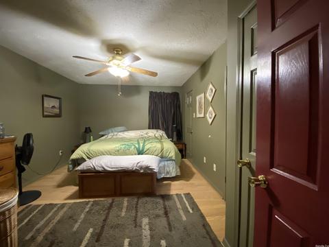 195 Sunny Gap Road Rd, Conway, AR 72032 photo 24