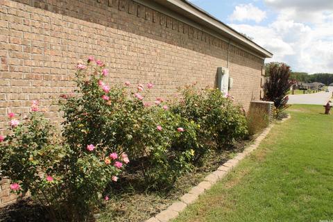 172 Creekside Dr, Austin, AR 72007 photo 7
