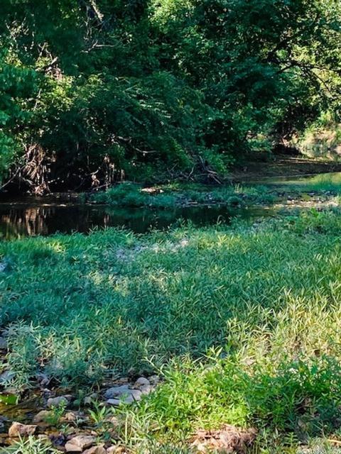 82 Johnson View Rd, Violet Hill, AR 72584 photo 4
