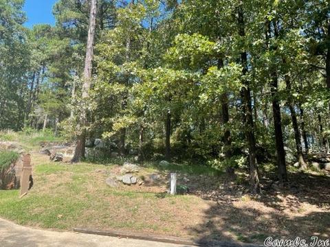 1260 Chablis Dr, Conway, AR 72032 photo 25