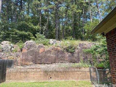 1260 Chablis Dr, Conway, AR 72032 photo 23