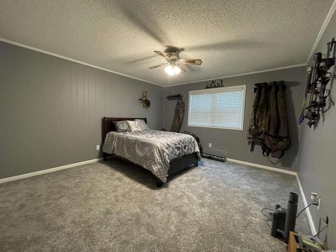 1501 Cedar St, Trumann, AR 72472 photo 17