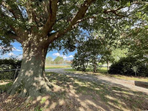 1501 Cedar St, Trumann, AR 72472 photo 29