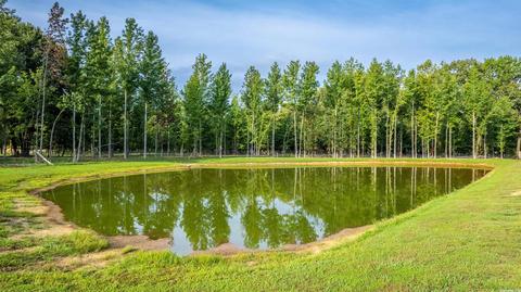 10 Matthews Ln, Conway, AR 72032 photo 39