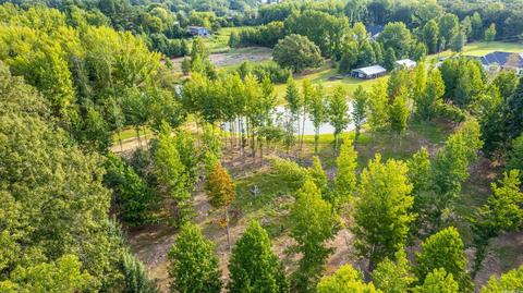 10 Matthews Ln, Conway, AR 72032 photo 42