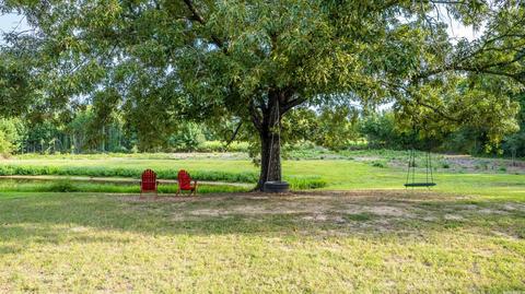 10 Matthews Ln, Conway, AR 72032 photo 40